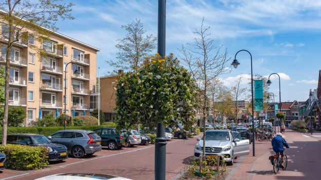 Flower and Shower - Bloombasket - voorjaar Bilthoven (13)