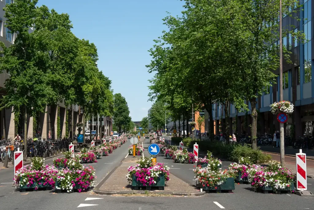 266 bloembakken ingezet voor pilotproject van de Gemeente Amsterdam